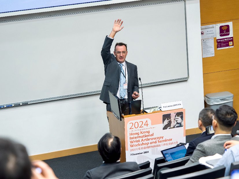 HK Wrist Course 2024- Seminar  - 36 of 257